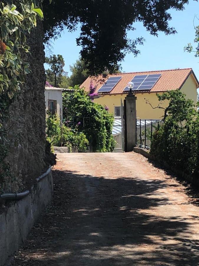 Agriturismo Soleada Ventimiglia Kültér fotó