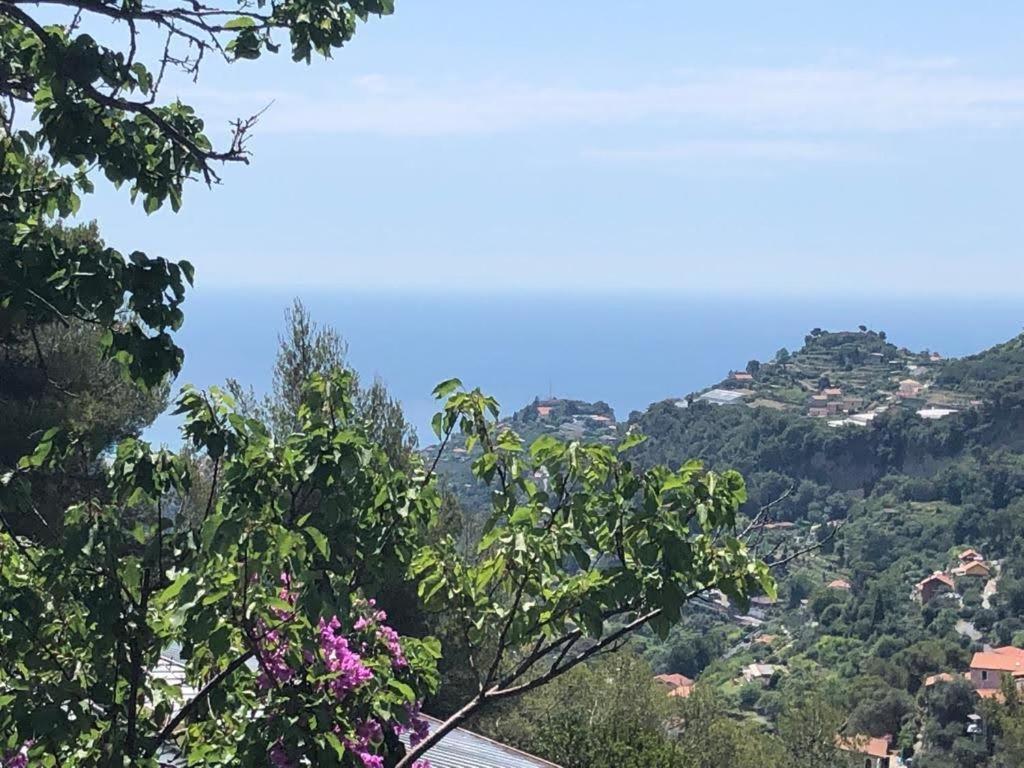 Agriturismo Soleada Ventimiglia Kültér fotó